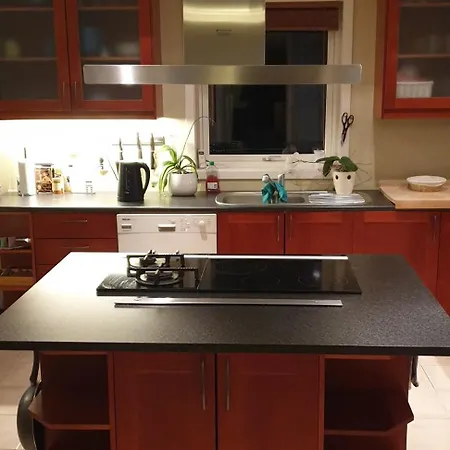 فيلة Villa Green ساربسبورغ